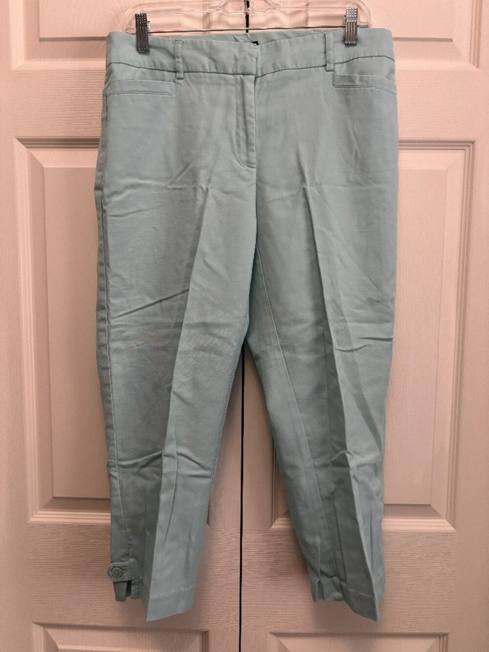 Counterparts Aqua Ankle Pants Size 16 Cropped Career Casual Pants